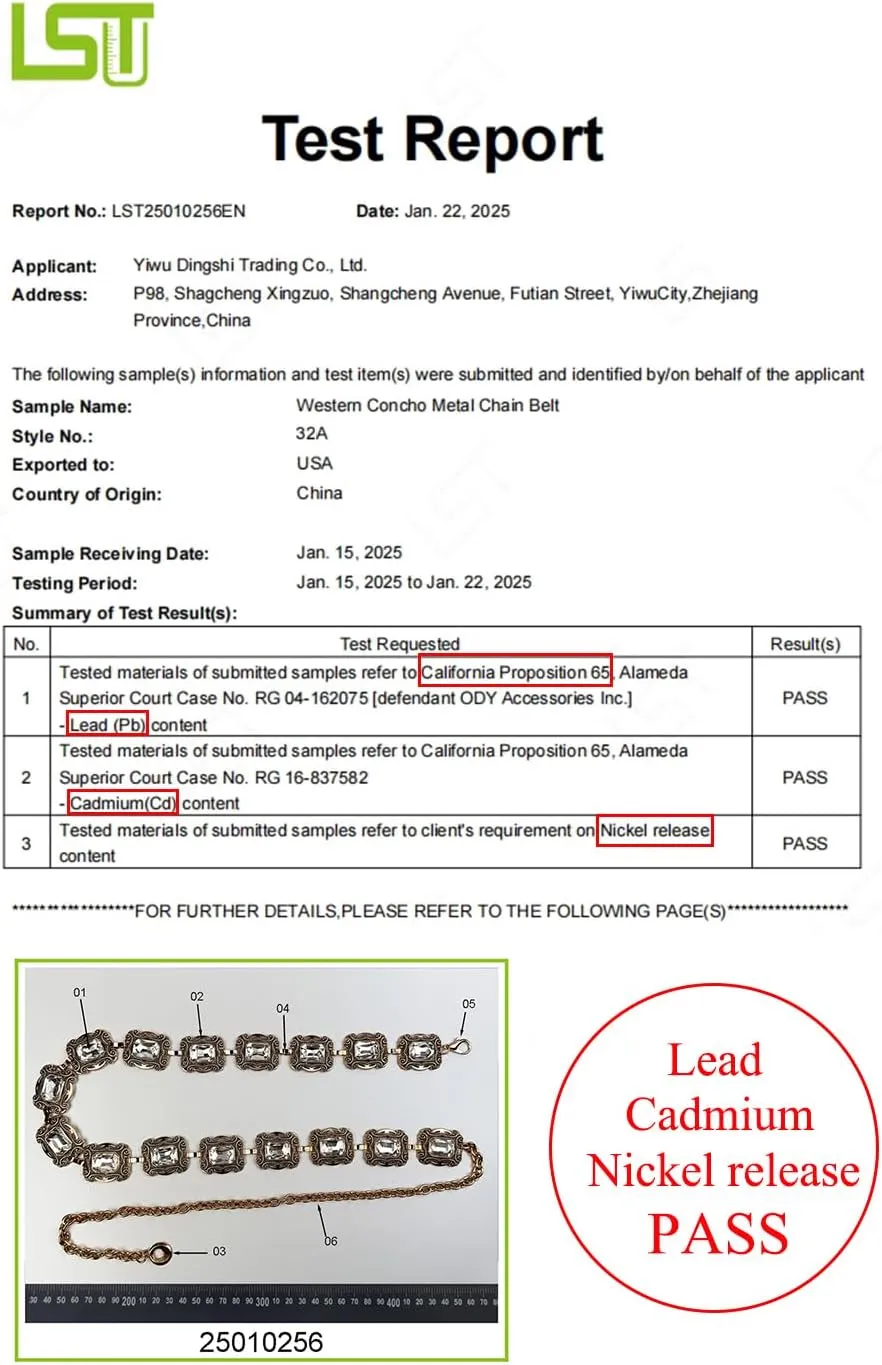 TOPACC Western Metal Concho Belt for Women Cowgirl Chain Belts for Dresses Jeans Country Concert Outfit
